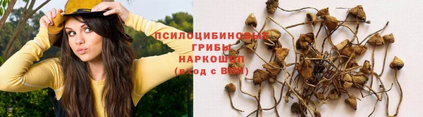 таблы Верея